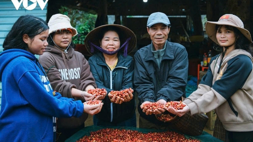 Giá cà phê hôm nay 28/4: Cà phê thế giới giảm nhẹ